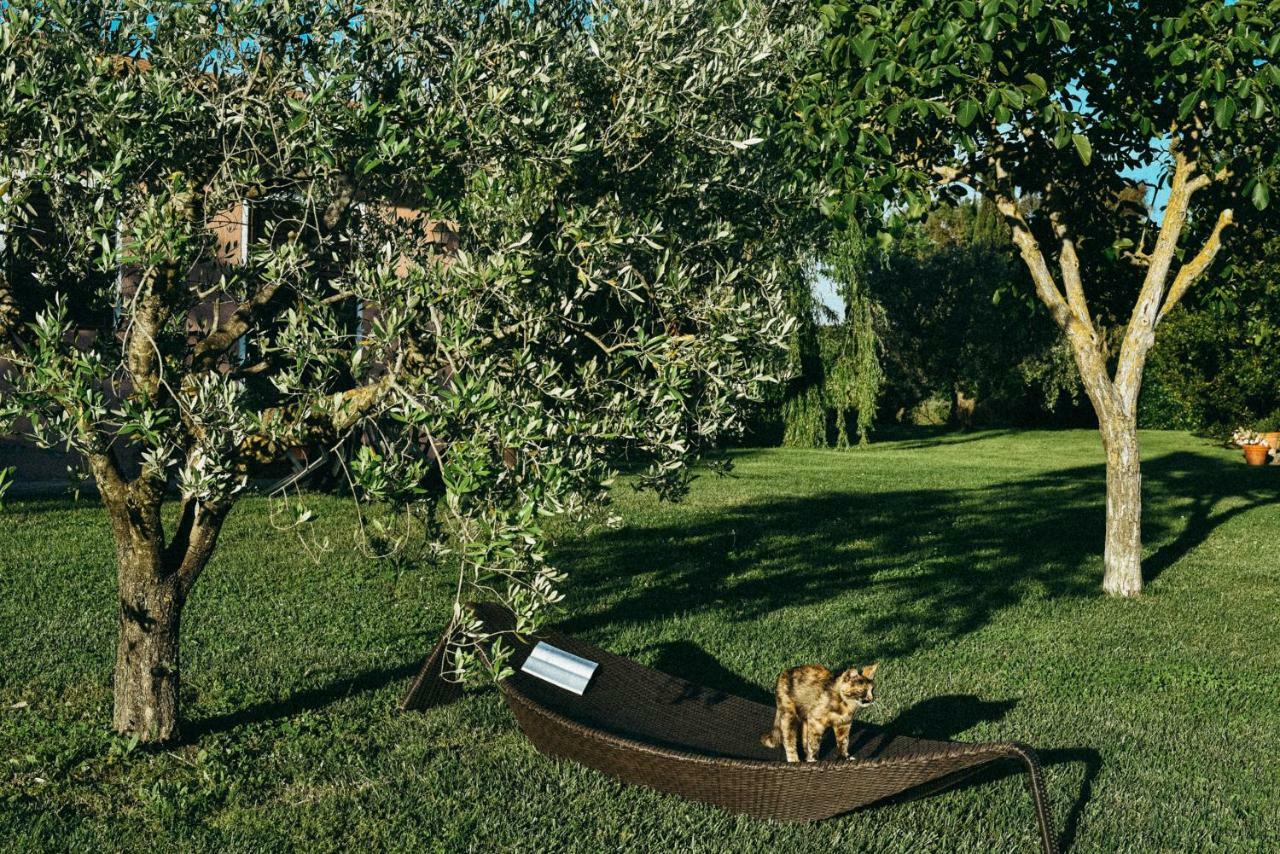 Agriturismo Vallerana Capalbio Εξωτερικό φωτογραφία