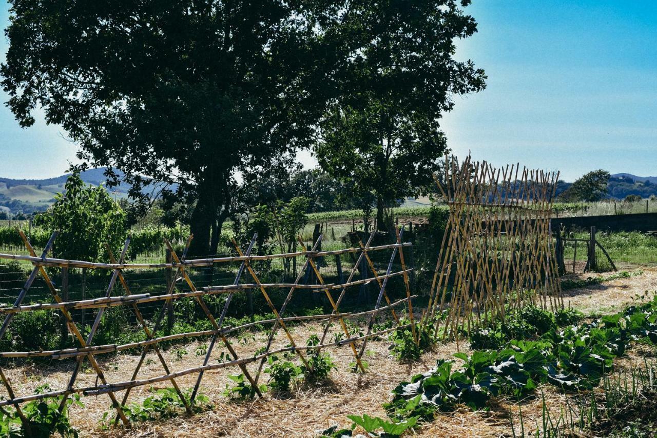 Agriturismo Vallerana Capalbio Εξωτερικό φωτογραφία